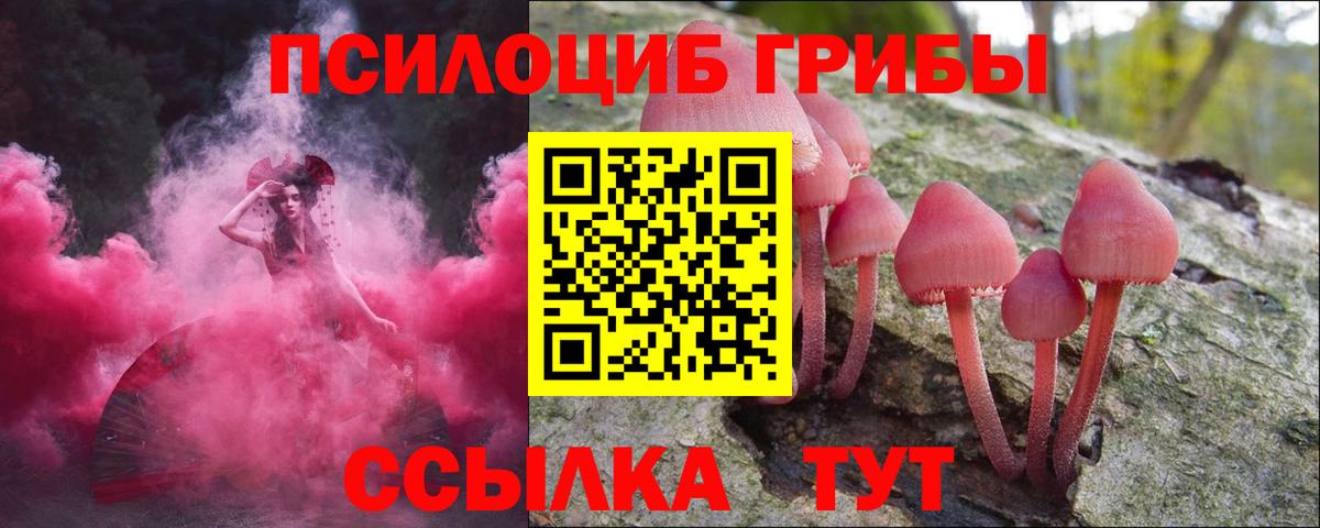 Псилоцибиновые грибы GOLDEN TEACHER  Вход с VPN  Псилоцибиновые грибы Psilocybe  Касимов 